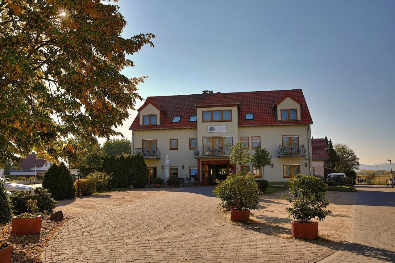 Hotel Fetzers 4*